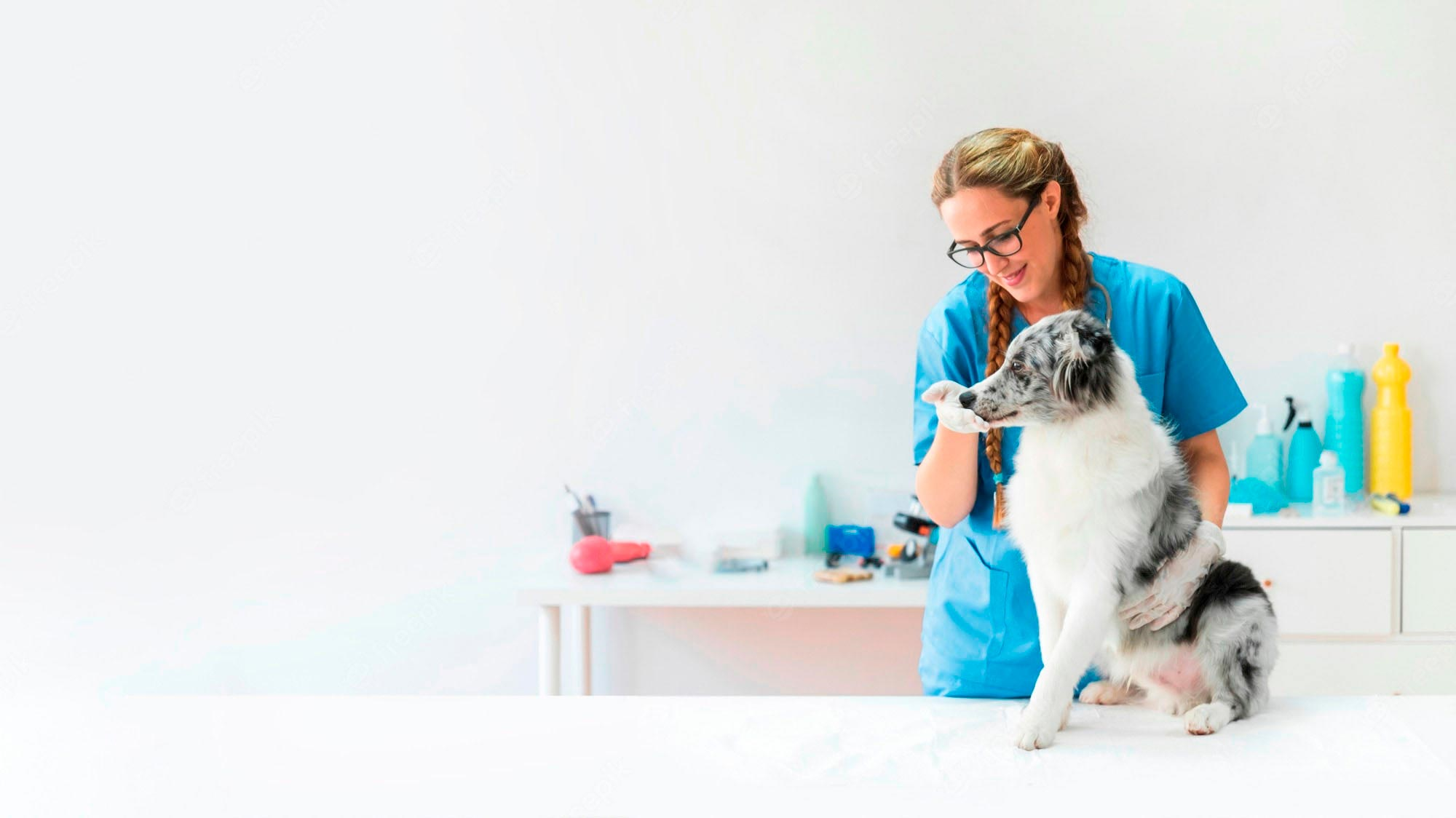Produtos de Ortopedia Veterinária